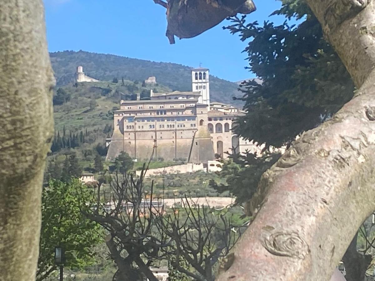 Agriturismo Il Girasole Ασίζη Εξωτερικό φωτογραφία