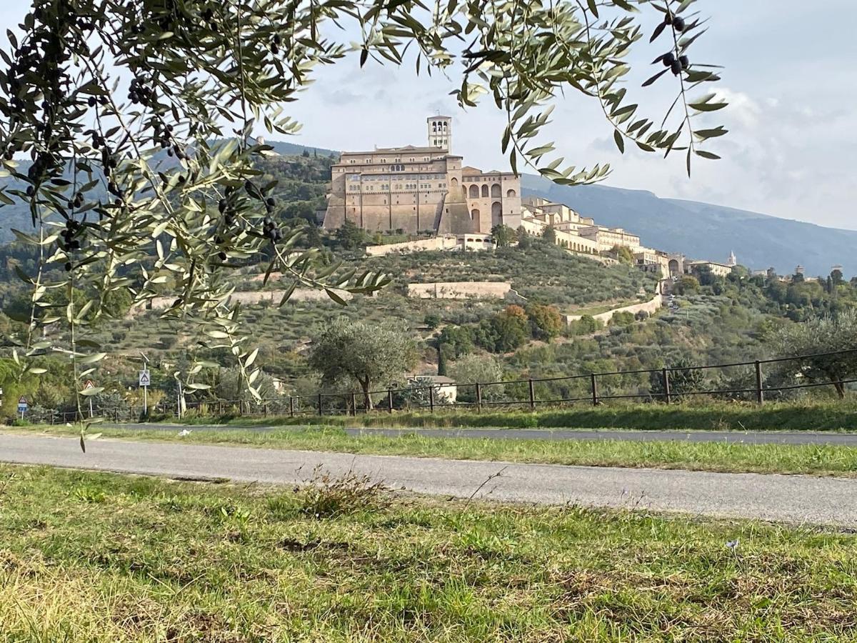 Agriturismo Il Girasole Ασίζη Εξωτερικό φωτογραφία