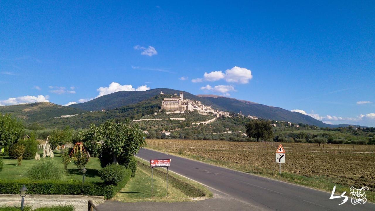 Agriturismo Il Girasole Ασίζη Εξωτερικό φωτογραφία