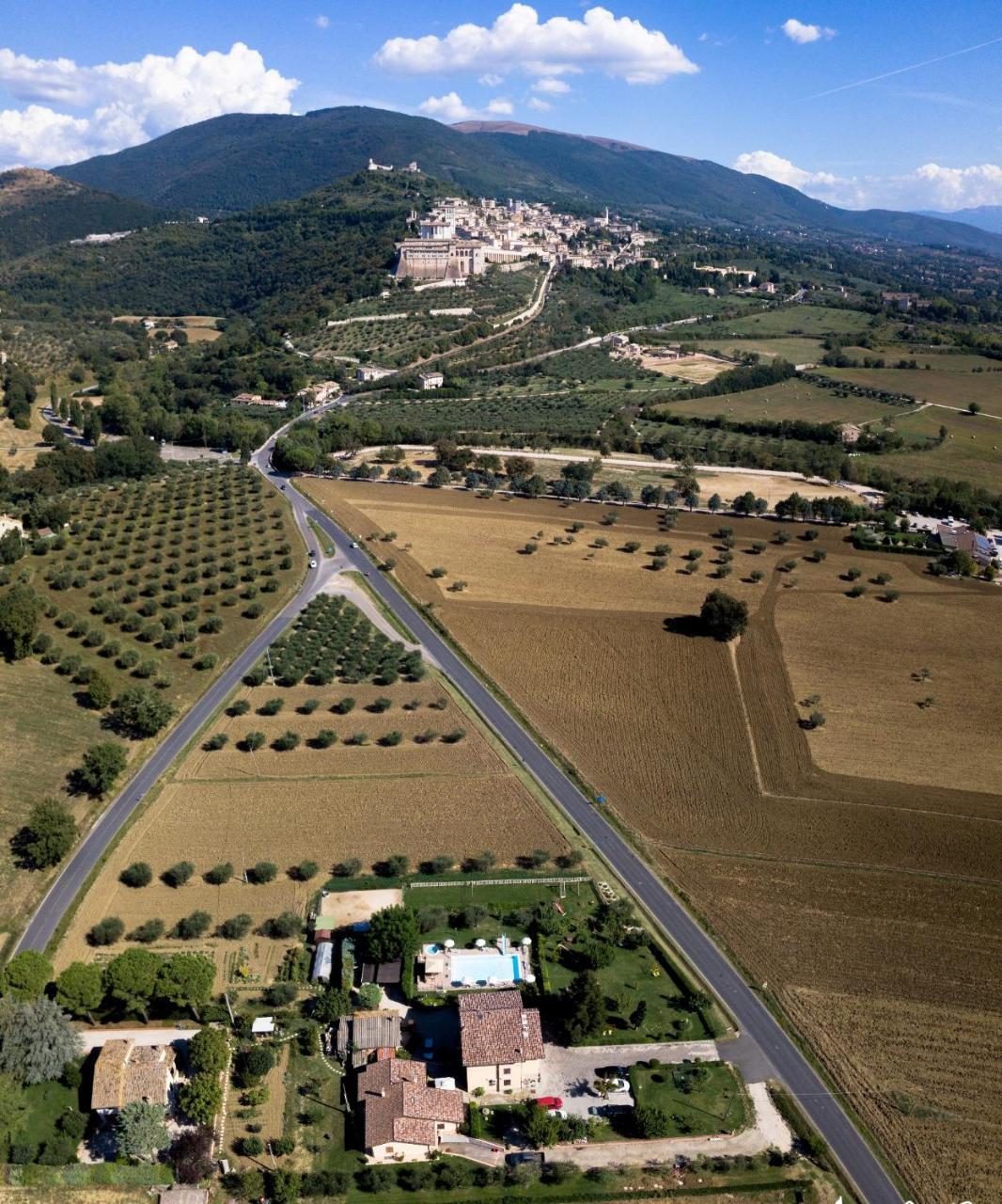 Agriturismo Il Girasole Ασίζη Εξωτερικό φωτογραφία